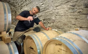 Le vigneron mire ses vins de Banyuls au chai de Clos Castell